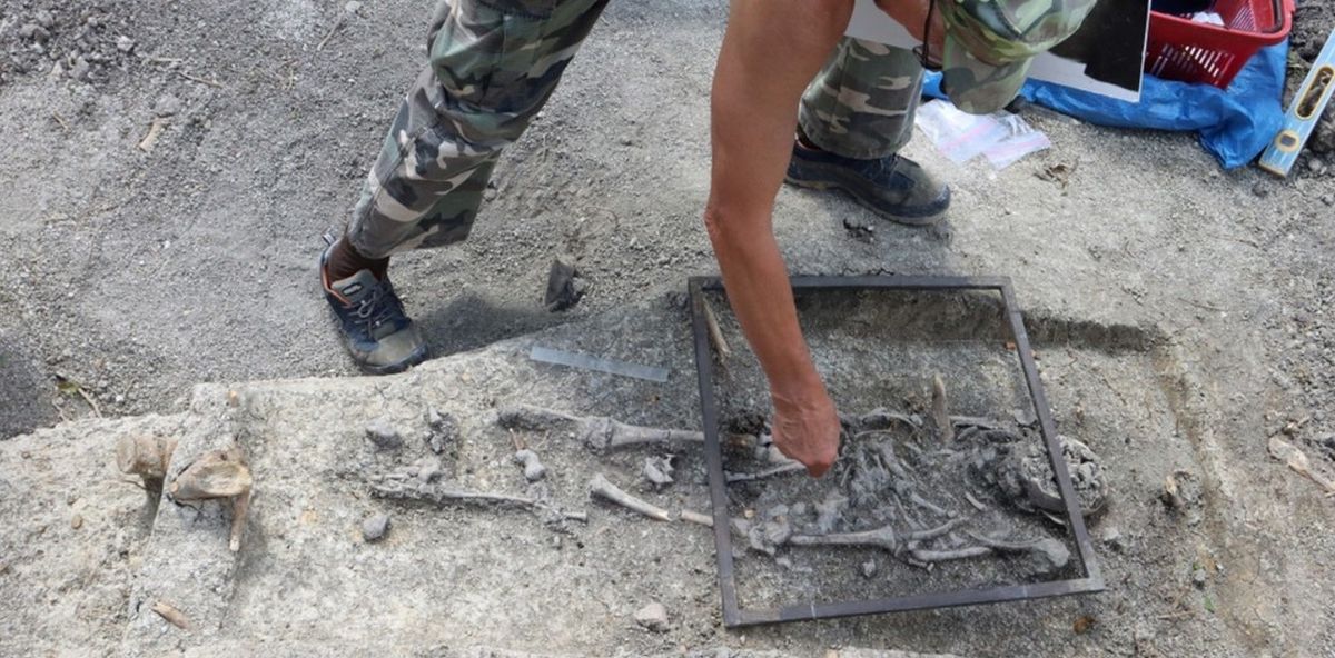 El descubrimiento de la tumba de un "niño vampiro" que asombró a los arqueólogos del mundo El descubrimiento de la tumba de un "niño vampiro" que asombró a los arqueólogos del mundo