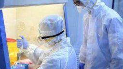 Coronavirus: cómo se propaga el covid 19 en el cuerpo y porque puede ser peligroso en los jóvenes