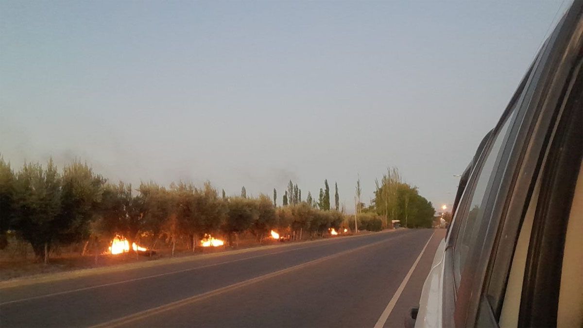 Zonas productivas del Valle de Uco, Luján, el Este y el Sur de Mendoza fueron afectadas por las heladas tardías. Foto: Gentileza.