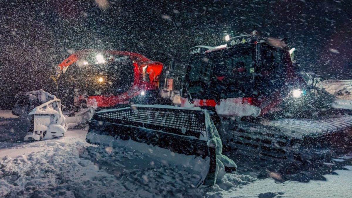 Foto: Nick McMahon Foto: Nick McMahon