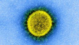 Enfermedad multisistémica: los efectos del Covid-19 fuera del sistema respiratorio