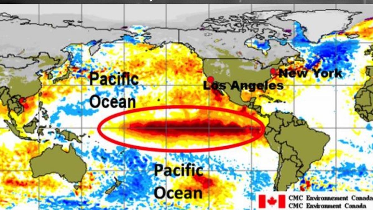 (Foto: CMC Environment Canada) (Foto: CMC Environment Canada)