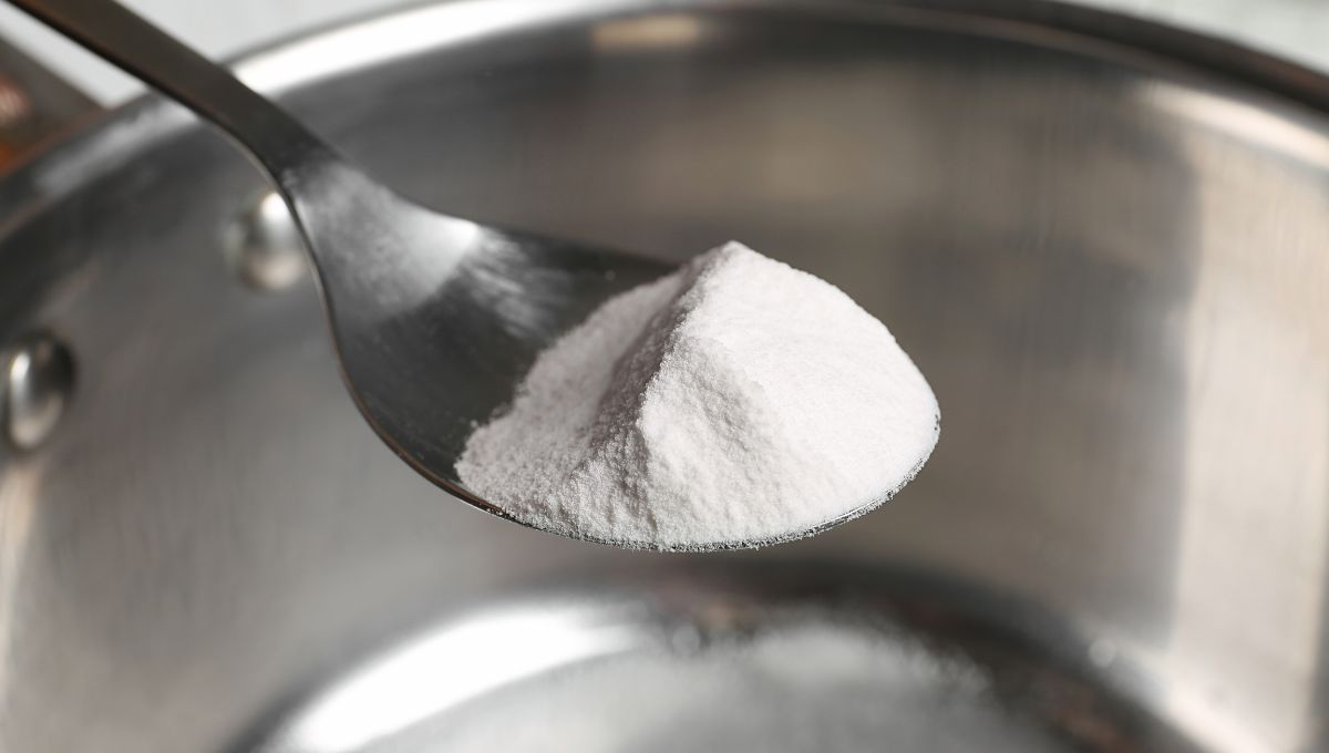 Bicarbonato: tu aliado para que las plantas no se mueran con el frío Bicarbonato: tu aliado para que las plantas no se mueran con el frío