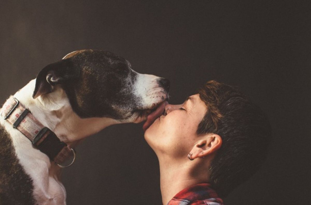 Besos, no. Muchos suelen besar a sus perros pero esto puede traer varios problemas para la salud. Besos, no. Muchos suelen besar a sus perros pero esto puede traer varios problemas para la salud. 