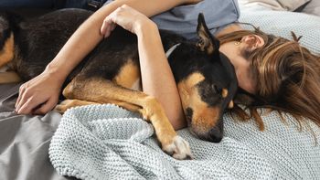 Los errores más comunes que hacen que tu perro te siga todo el tiempo Los errores más comunes que hacen que tu perro te siga todo el tiempo