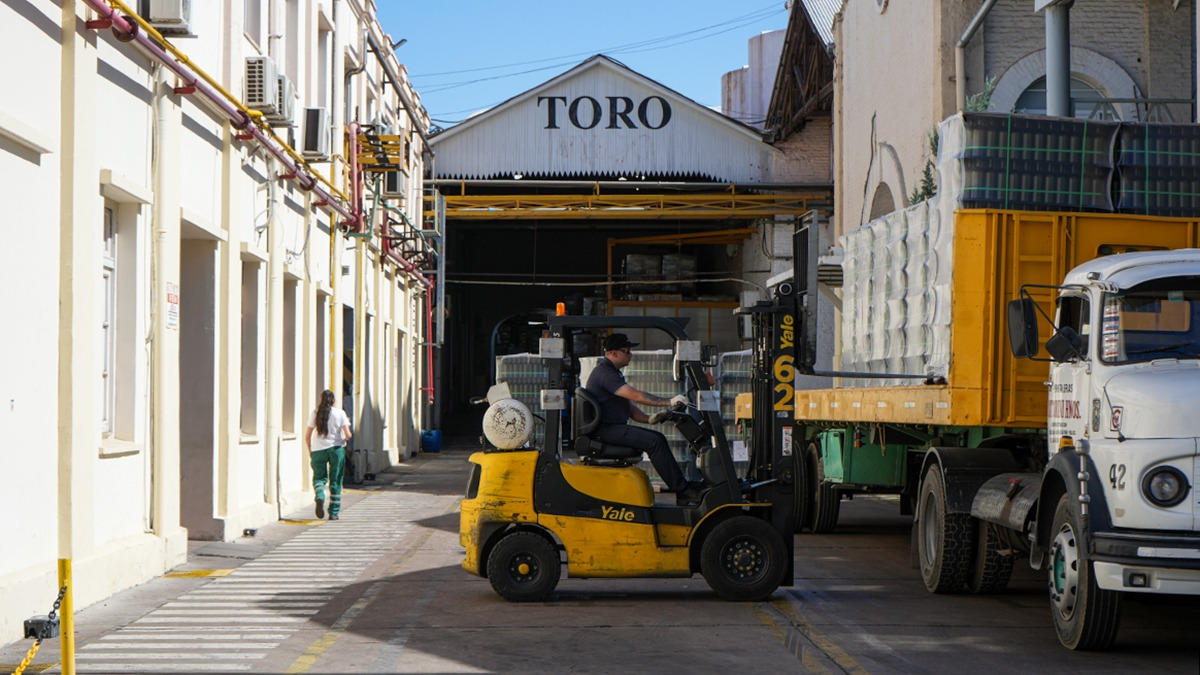 Con vino Toro como símbolo, y pese a los embates, esta temporada Fecovita elaboró casi 10% más que en la anterior. Con vino Toro como símbolo, y pese a los embates, esta temporada Fecovita elaboró casi 10% más que en la anterior.