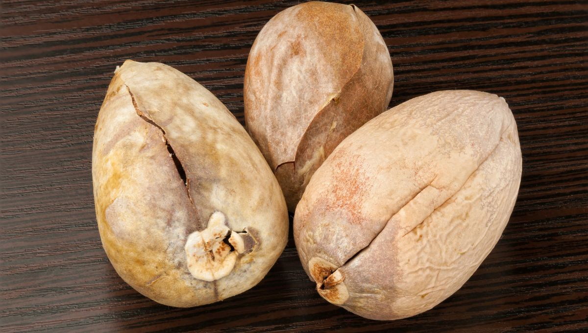 Los carozos o huesos de la palta pueden usarse para tratamientos de cosmética