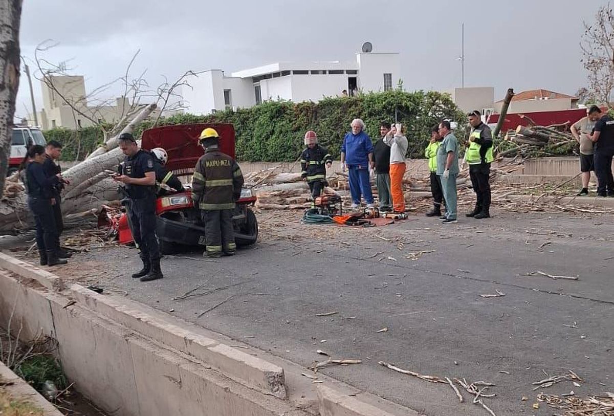 La mujer falleció en el lugar. La mujer falleció en el lugar.