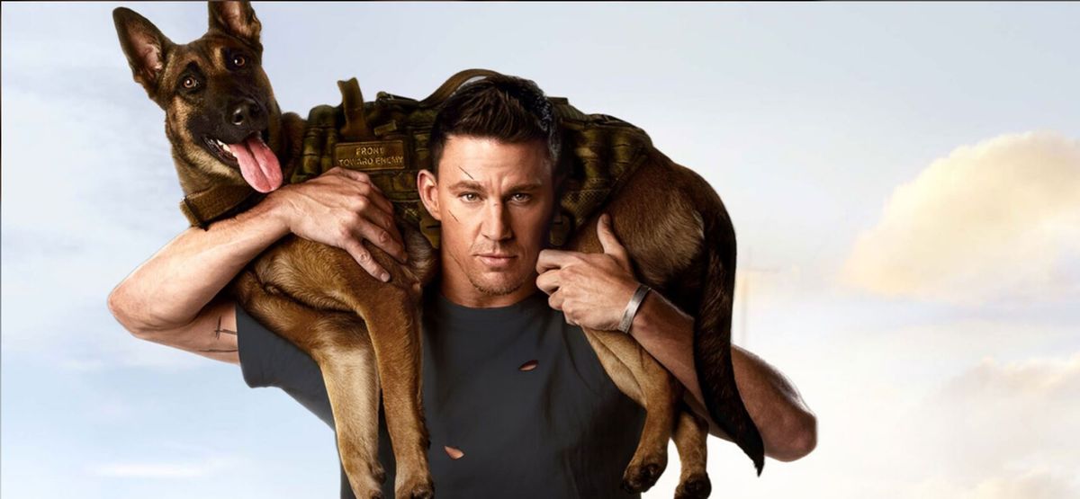 Streaming. HBO Max tiene la increíble historia para amantes de los perros.