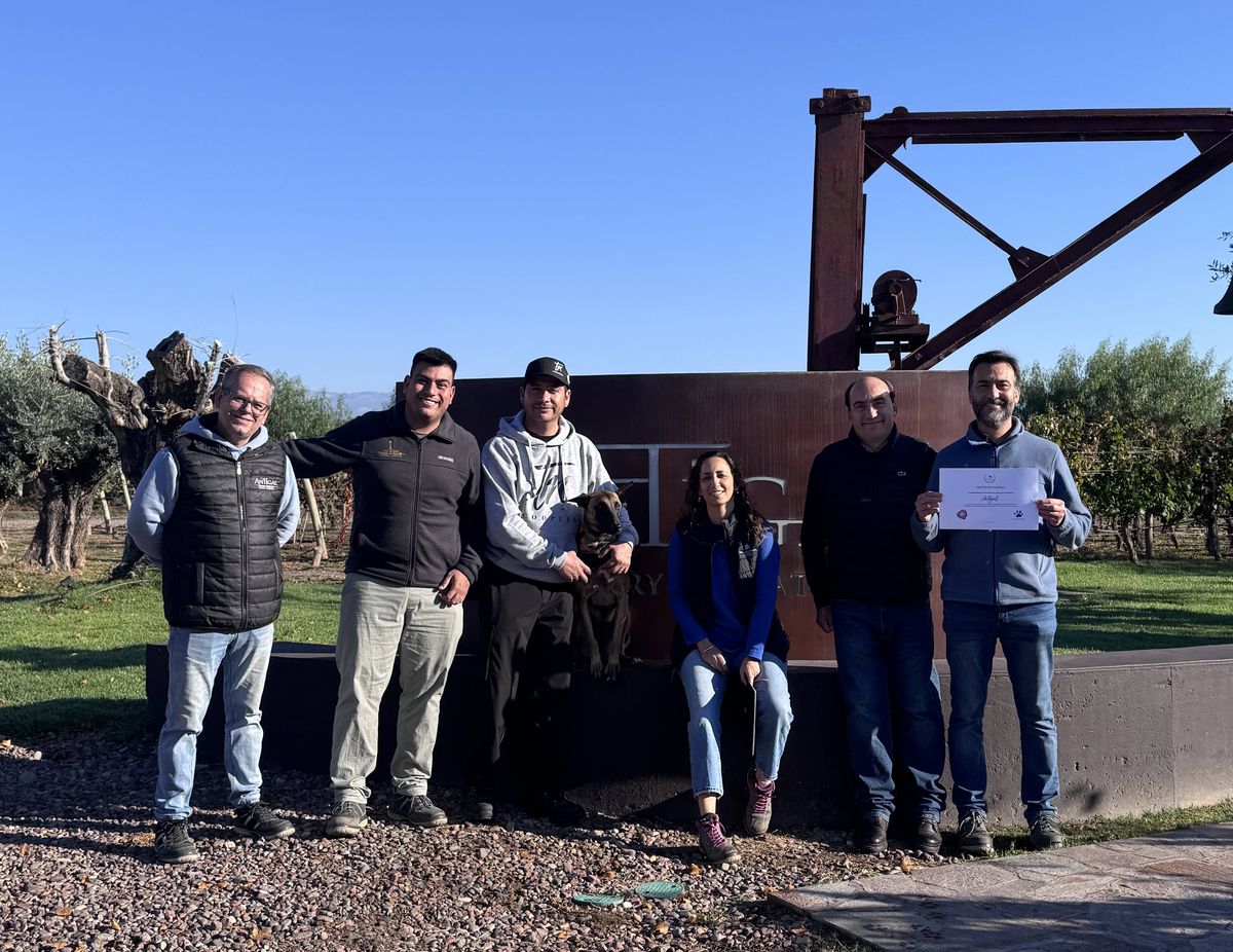 Parte del equipo del programa Natinga de la empresa chilena TN Coopers, dedicada a la fabricación de barricas y otros productos de madera. Parte del equipo del programa Natinga de la empresa chilena TN Coopers, dedicada a la fabricación de barricas y otros productos de madera.