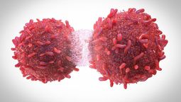 Descubrieron más de cien nuevos genes con predisposición al cáncer