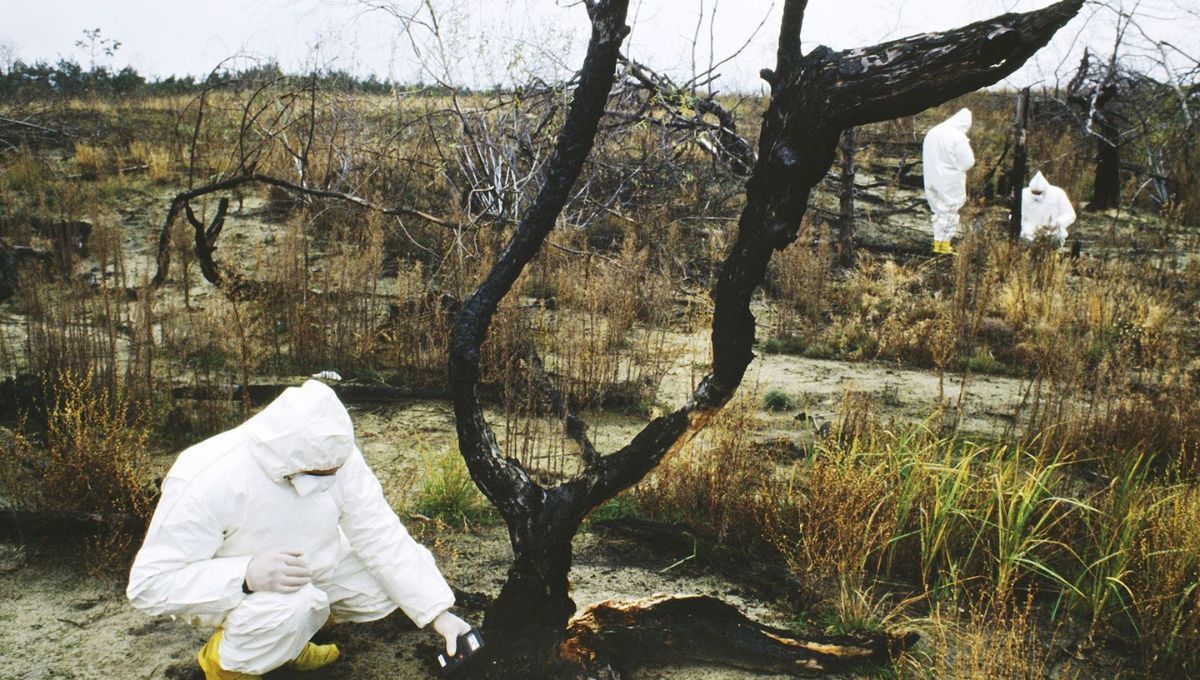 El nuevo reto en el reactor de Chernobyl que pone nerviosa a toda Europa