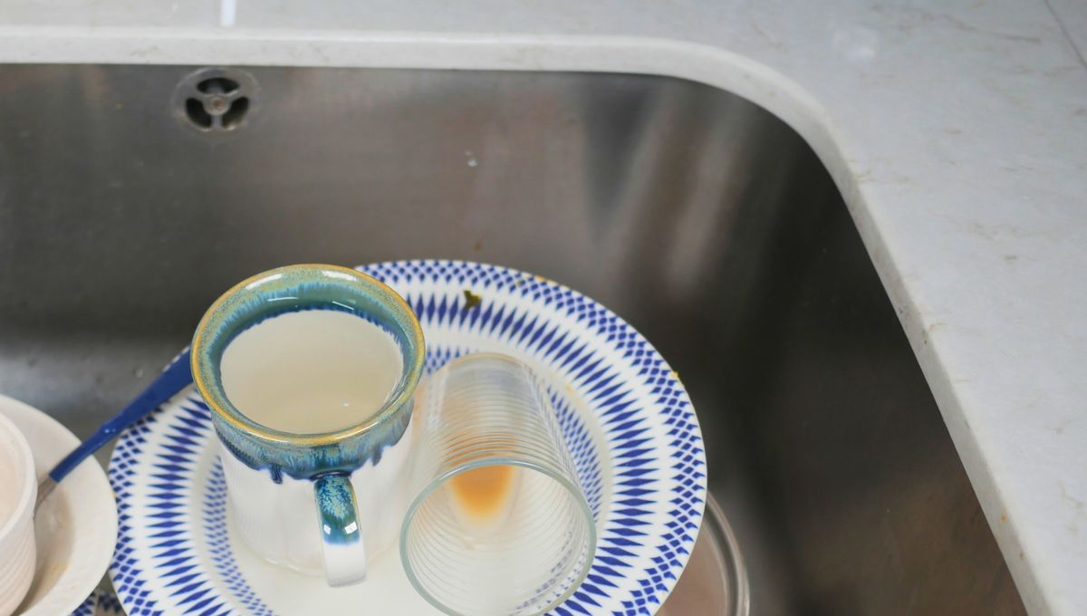 La cocina es un espacio lleno de suciedad y organismos invisibles que, si no eliminamos a tiempo, pueden alterar los alimentos. La cocina es un espacio lleno de suciedad y organismos invisibles que, si no eliminamos a tiempo, pueden alterar los alimentos.