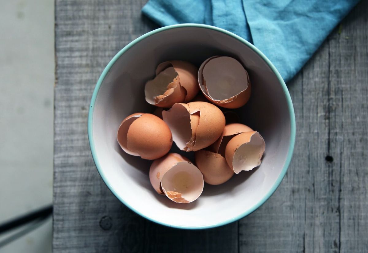 Cáscaras de huevo en la heladera: el sencillo hábito que te dará múltiples beneficios Cáscaras de huevo en la heladera: el sencillo hábito que te dará múltiples beneficios