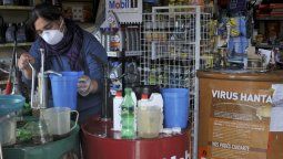 Una mujer murió en Chubut y ya son 13 las víctimas fatales por el hantavirus