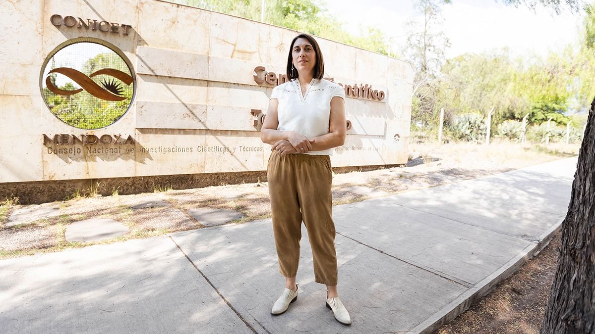 Los trabajos de la arquitecta del Conicet logran reducir hasta un 40% el consumo energético en edificios. Los trabajos de la arquitecta del Conicet logran reducir hasta un 40% el consumo energético en edificios.