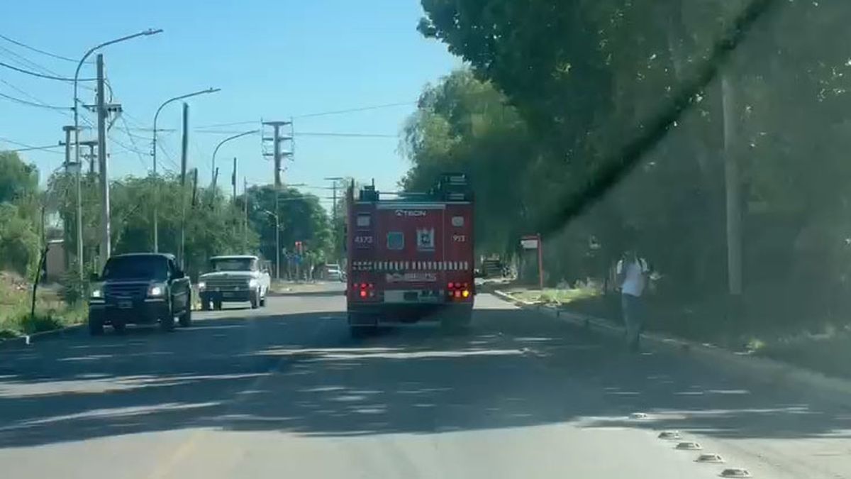 Los Bomberos Voluntarios fueron a un incendio en Guaymallén, pero lo que se encontraron fue insólito. Los Bomberos Voluntarios fueron a un incendio en Guaymallén, pero lo que se encontraron fue insólito.