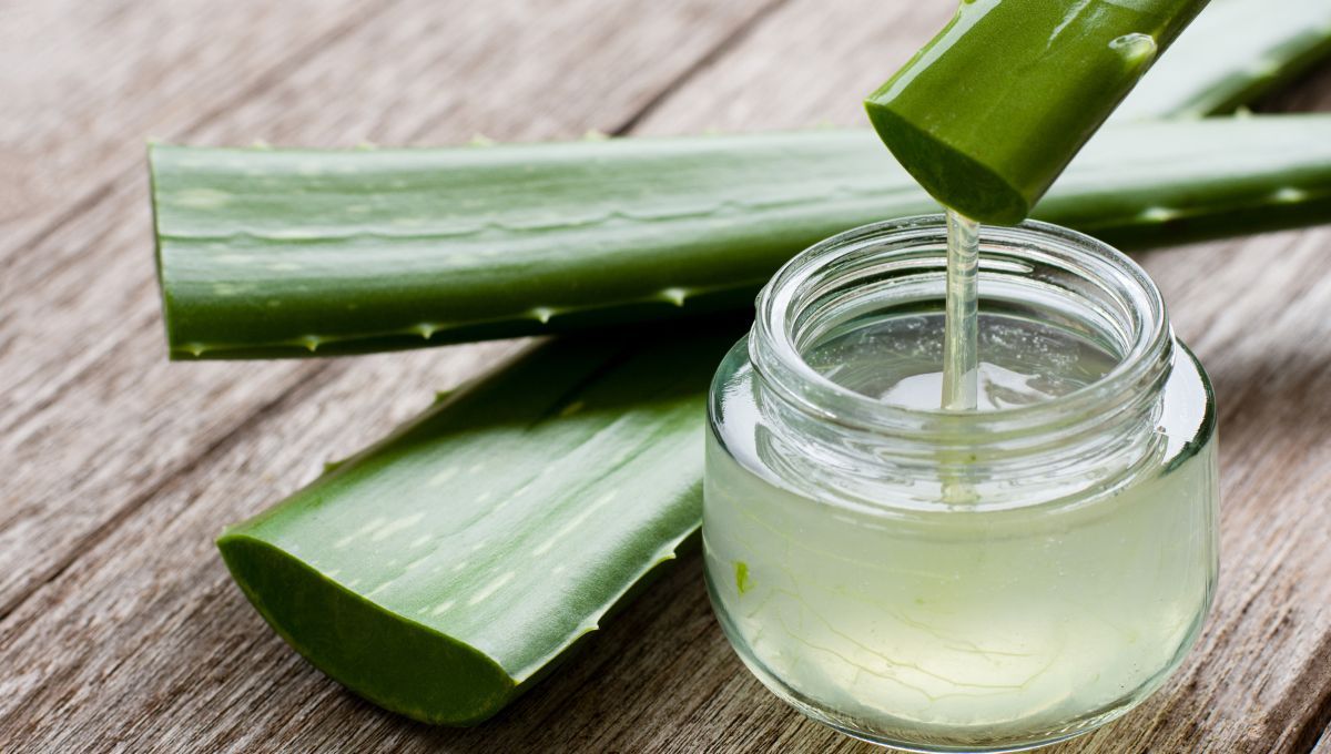 El aloe vera es ideal para reducir la grasitud en el pelo. El aloe vera es ideal para reducir la grasitud en el pelo.