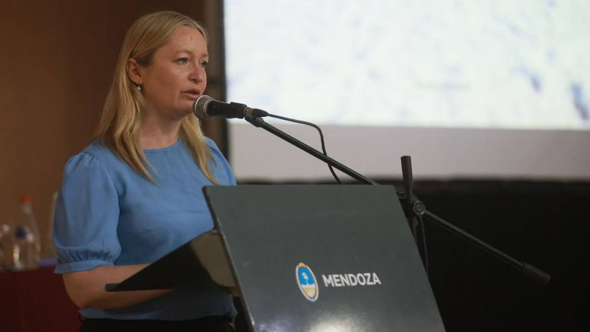 Hebe Casado participó de la audiencia pública para la exploración de litio en San Rafael con fines de que avance la minería sustentable. Hebe Casado participó de la audiencia pública para la exploración de litio en San Rafael con fines de que avance la minería sustentable.