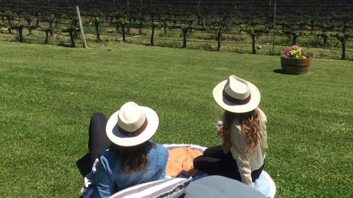 El ministro Fayad explicó que el objeto en el 2026 es eliminar distorsiones en el Impuesto Inmobiliario que pagan las propiedades rurales. El ministro Fayad explicó que el objeto en el 2026 es eliminar distorsiones en el Impuesto Inmobiliario que pagan las propiedades rurales.