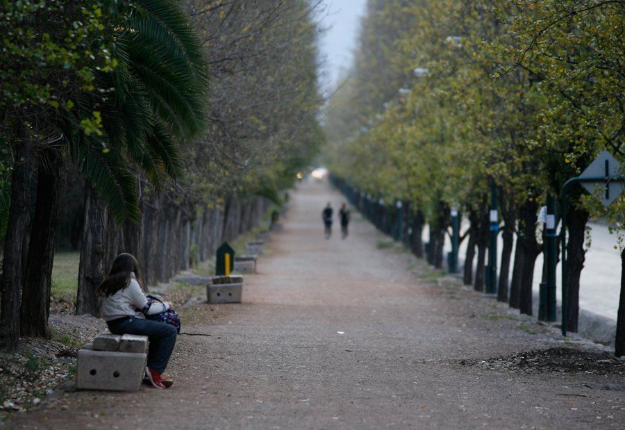 Con los &uacute;ltimos Zondas se perdieron muchos espec&iacute;menes de la forestaci&oacute;n de Mendoza.