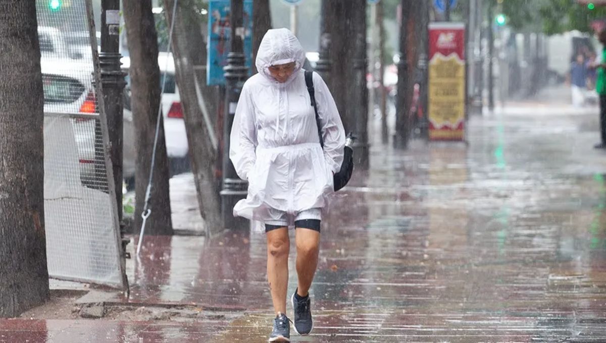 ¿Habrá tormenta de Santa Rosa este año?: las provincias en las que puede llover y que día es el que tiene más posibilidades