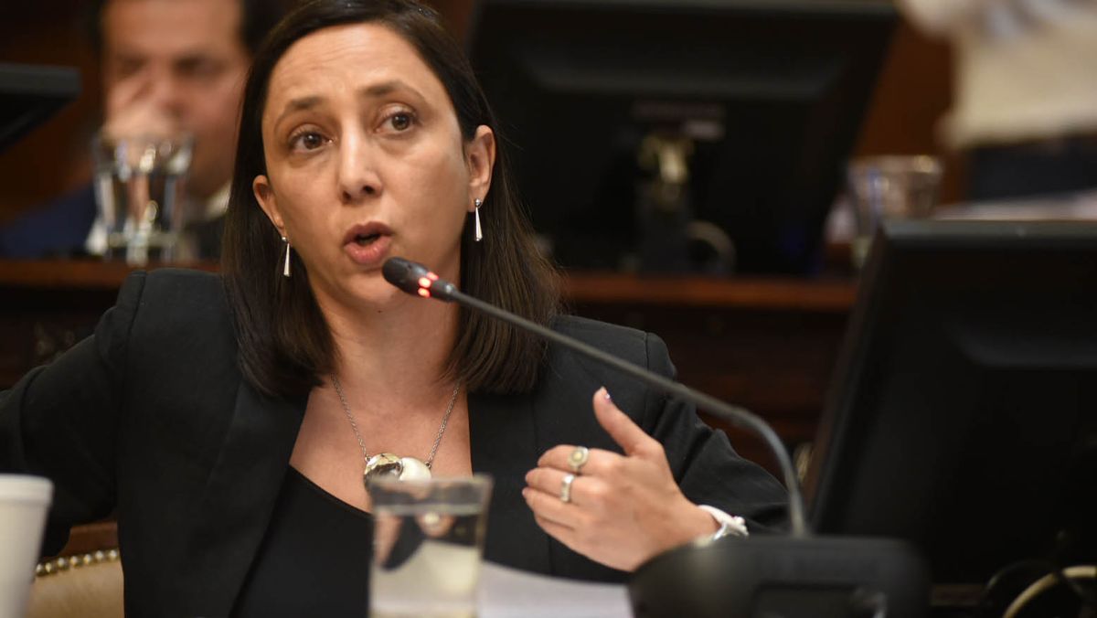 Mariana Zlobec (UCR) fue quien dio detalles del proyecto que determinar responsabilidades para casos de bullying en las escuelas. Mariana Zlobec (UCR) fue quien dio detalles del proyecto que determinar responsabilidades para casos de bullying en las escuelas.