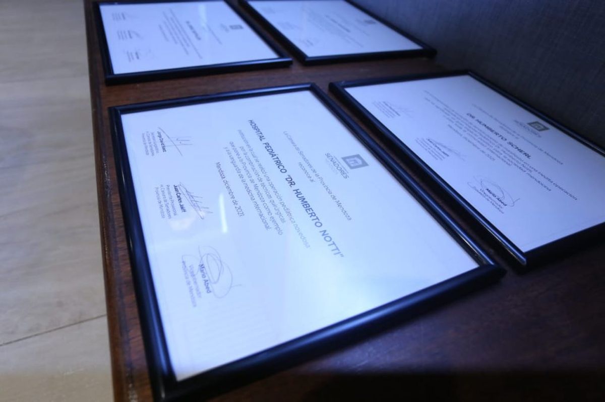 Estos son los diplomas que les entregó el Senado provincial al equipo médico del Hospital Notti por la labor que sirvió para salvar la vida de la pequeña Nayla.