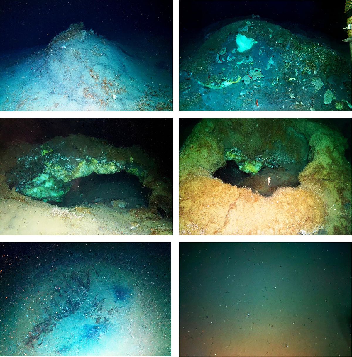 El estudio se situó a 4000 metros bajo el nivel del mar. El estudio se situó a 4000 metros bajo el nivel del mar.