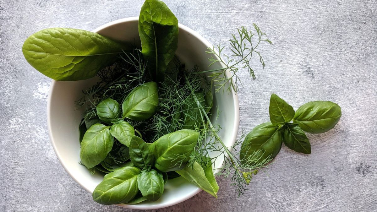 Dónde hay que poner la albahaca para multiplicar el dinero