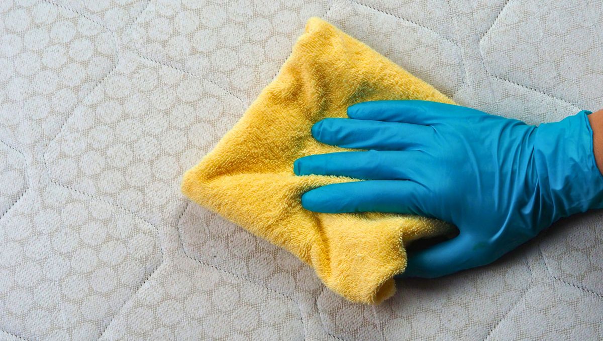 Para mantener el colch&oacute;n limpio y libre de malos olores, realiza una limpieza y ventilaci&oacute;n frecuentes.&nbsp;