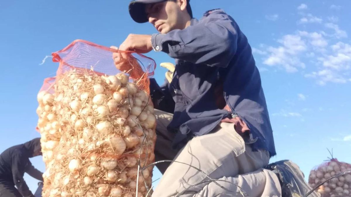 Luciano trabaja todo el día y a la noche asiste a una escuela de adultos donde es abanderado. Luciano trabaja todo el día y a la noche asiste a una escuela de adultos donde es abanderado.