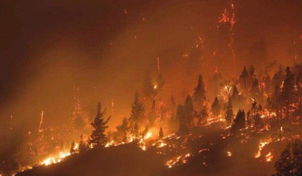 Este verano hubo incendios en la Patagonia. El gobierno nacional afirma que la RAM está detrás de esos incidentes.