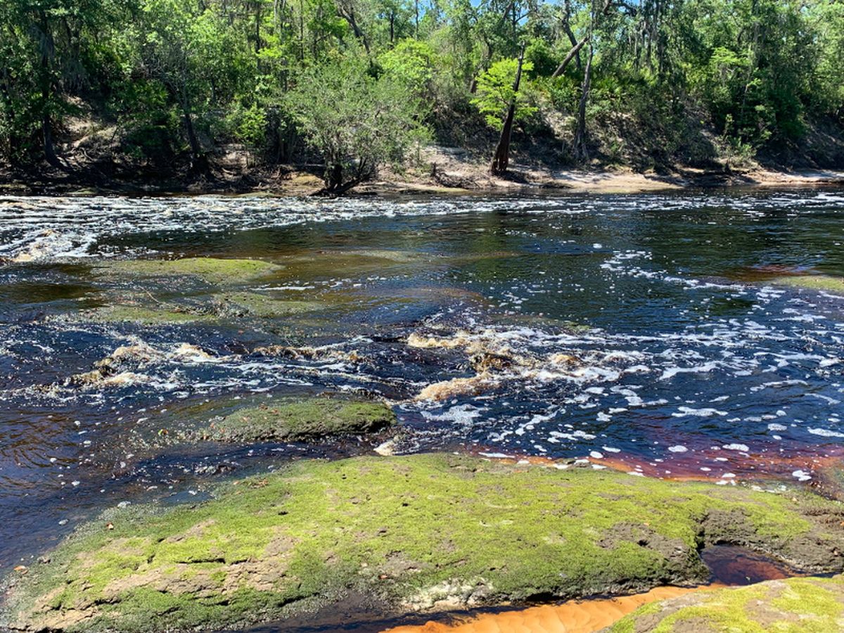 El parque se unificará con el sendero Shoal River y expandirá las opciones para quienes disfrutan de actividades al aire libre. El parque se unificará con el sendero Shoal River y expandirá las opciones para quienes disfrutan de actividades al aire libre.