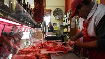 Importación de carne de Brasil: llegan a Mendoza contenedores con cortes hasta 30% más baratos Importación de carne de Brasil: llegan a Mendoza contenedores con cortes hasta 30% más baratos
