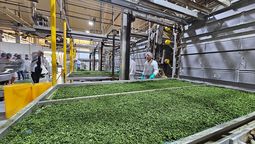 Son 60 los trabajadores que fueron despedidos por Unilever.