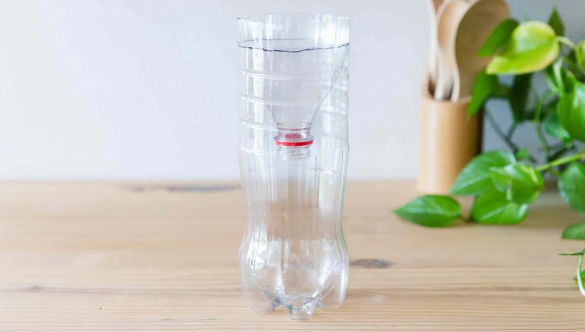 Crea una trampa con tres ingredientes y elimina definitivamente las moscas de tu hogar Crea una trampa con tres ingredientes y elimina definitivamente las moscas de tu hogar