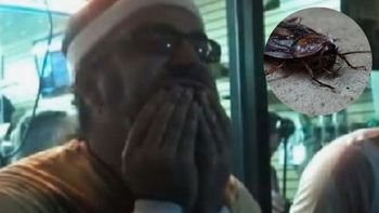 Comió decenas de cucarachas y gusanos para ganar una serpiente, se desplomó y murió Comió decenas de cucarachas y gusanos para ganar una serpiente, se desplomó y murió