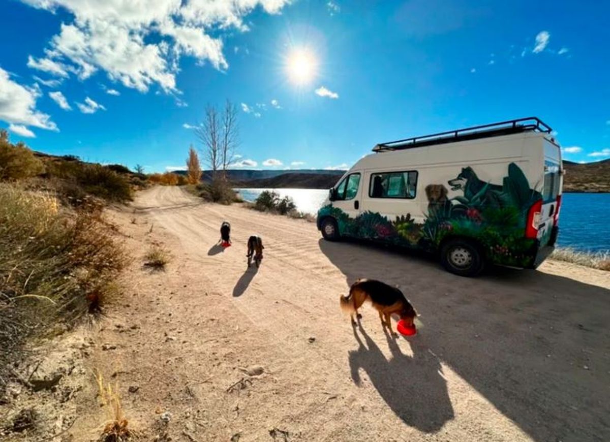 El motorhome y los perros de Guido en pleno viaje. / IG El motorhome y los perros de Guido en pleno viaje. / IG