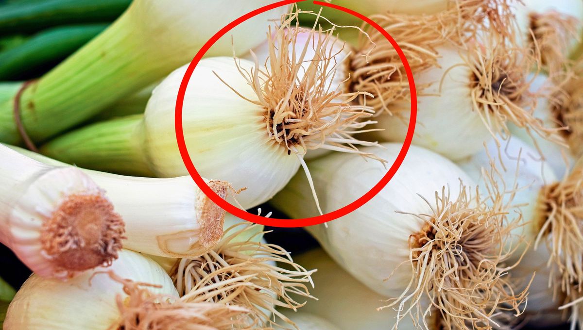 Si tenés cebolla de verdeo en casa, tenés un tesoro en tus manos: por qué y para qué sirve