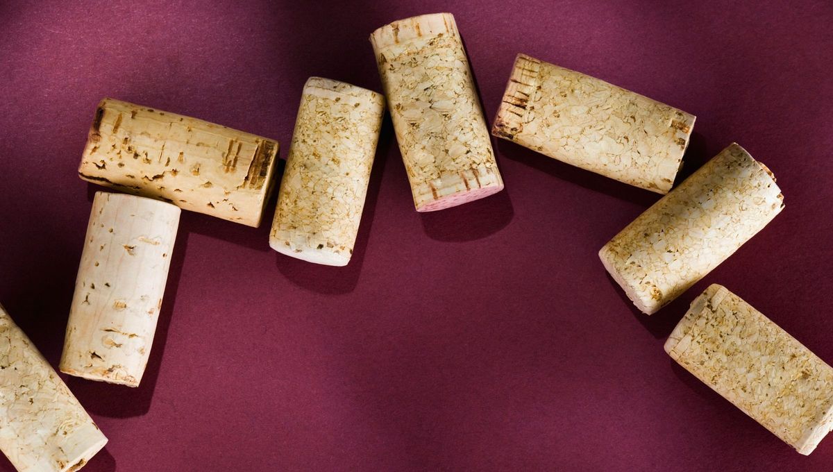 Los corchos pueden ser altamente beneficiosos para tus plantas. Los corchos pueden ser altamente beneficiosos para tus plantas. 