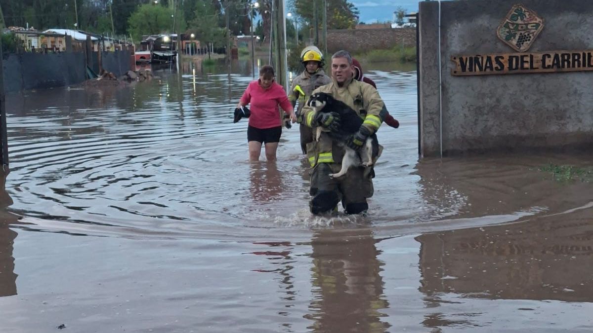 Los Bomberos Voluntarios de Guaymallén trabajaron para evacuar a una familia y sus mascotas tras las lluvias. Los Bomberos Voluntarios de Guaymallén trabajaron para evacuar a una familia y sus mascotas tras las lluvias.