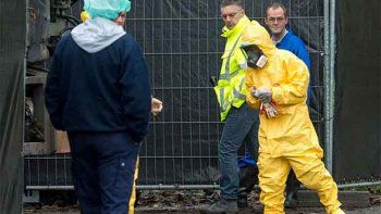 Italia detectó brote de gripe aviar H5N8 y más de 30.000 aves serán sacrificadas
