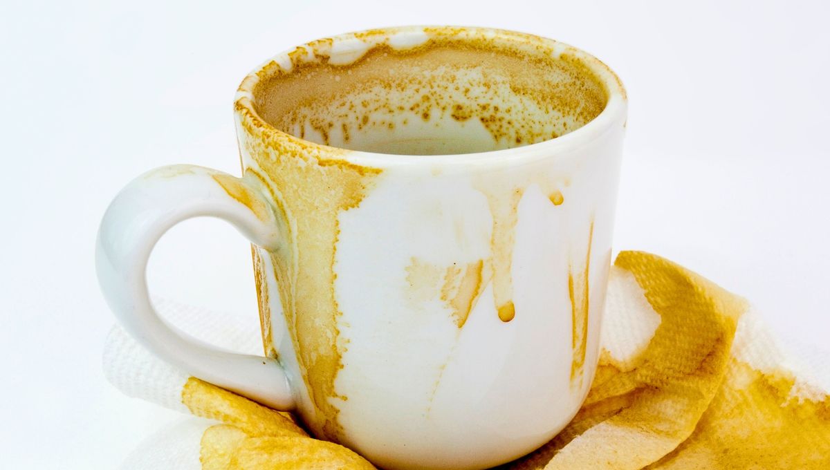 Las manchas de café percuden los vasos y tazas y pueden favorecer la aparición de microorganismos. Las manchas de café percuden los vasos y tazas y pueden favorecer la aparición de microorganismos. 