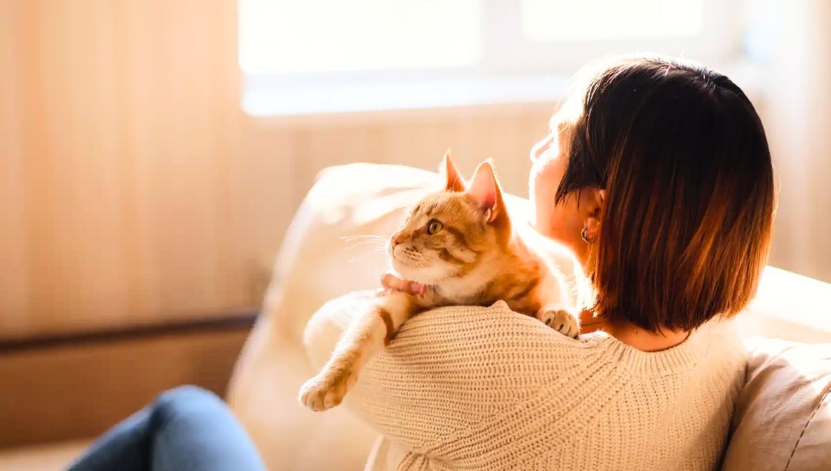 La voz no es la herramienta más efectiva a la hora de llamar a tu gato