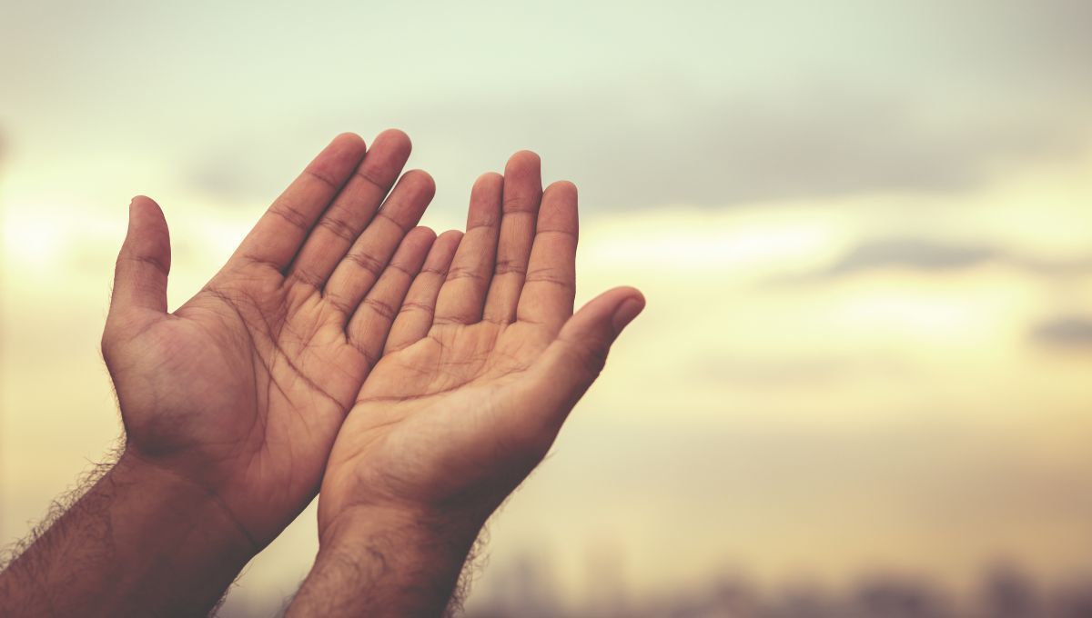 Tu personalidad y tus influencias, reflejadas en cada línea de la mano Tu personalidad y tus influencias, reflejadas en cada línea de la mano