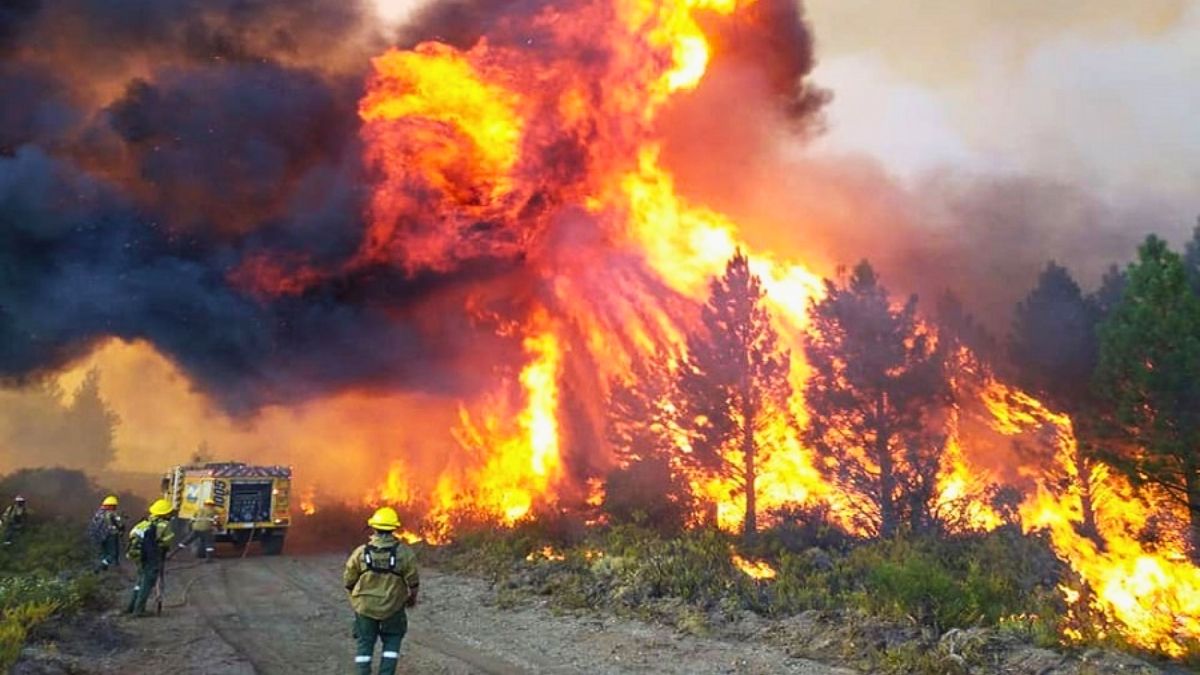 Dos focos avanzan en Chubut. Miles de hectáreas han sido afectadas por los incendios forestales.