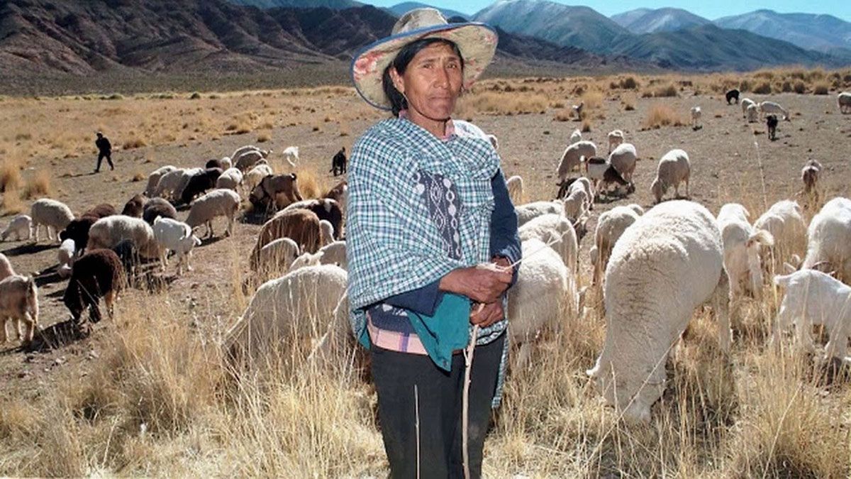 Eulogia Tapia, la Pomeña. Eulogia Tapia, la Pomeña. 