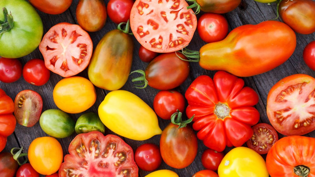 Distintos tipos de tomate.