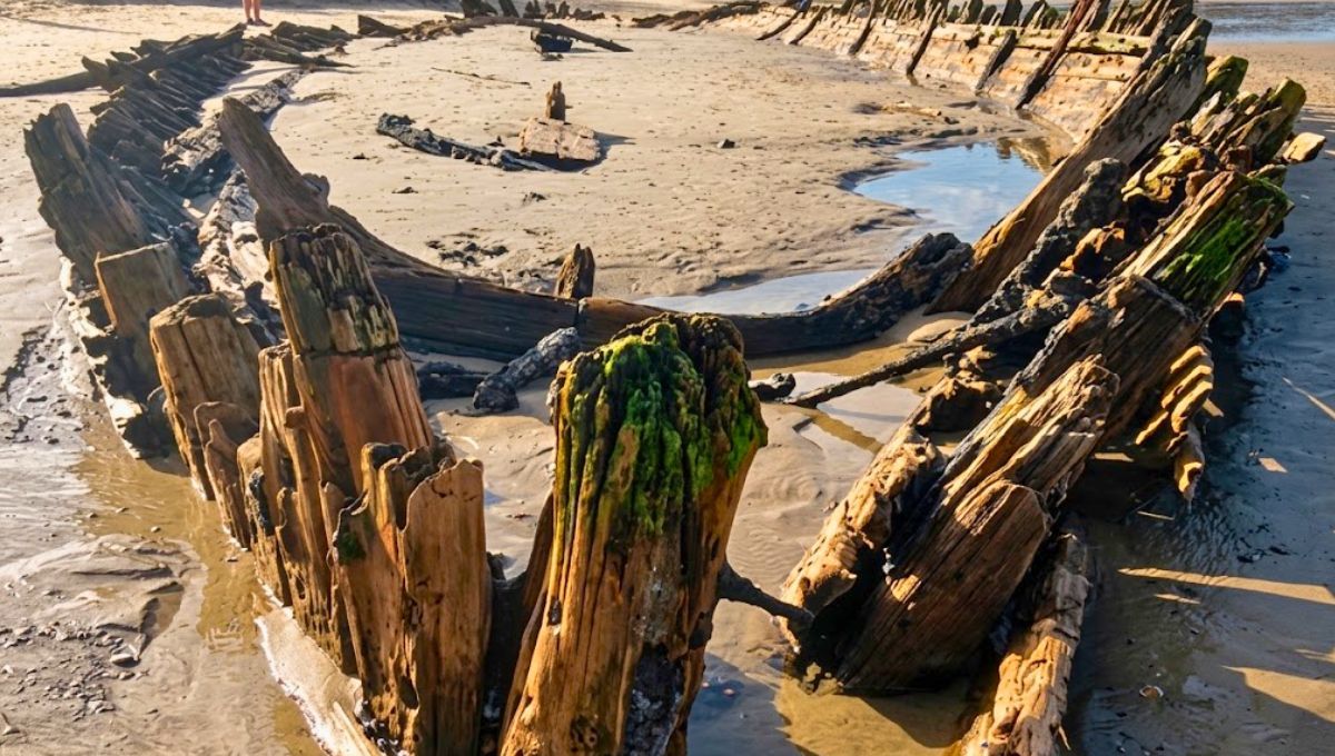 Una tormenta removió la arena de una playa en Sanday y dejó al descubierto restos del naufragio. Una tormenta removió la arena de una playa en Sanday y dejó al descubierto restos del naufragio.